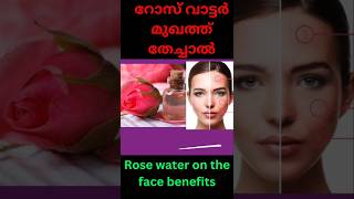 Benefits of the Cucumber and Rose Water Face Mask Hydrates and refreshes the skin [upl. by Llehcear]