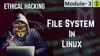 Module 3 File system In Linux kalilinux [upl. by Iow]