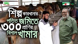 শিল্প কারখানার পতিত জমিতে গড়ে উঠেছে বিশাল প্রাণিসম্পদ খামার  Shykh Seraj  Channel i [upl. by Atinel48]