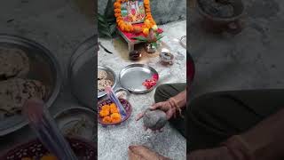 Daal baati 😋shortsfeed dalbaati deaidiet vlogger minivlogs [upl. by Sanferd880]