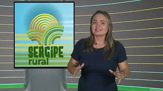 SERGIPE RURAL  PROGRAMA 484 [upl. by Shirk55]