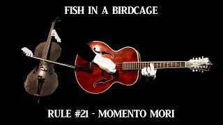 Rule 21  Momento Mori  Fish in a Birdcage Official Video [upl. by Marwin]