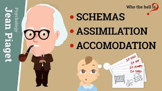 Schemas Assimilation and Accomodation Jean Piagets Epistemological Concepts [upl. by Haldis]