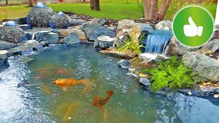 POND MAKEOVER with Wetland Filter COMPLETE  Reveal [upl. by Faber729]