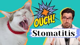 Does Your CAT have Stomatitis Treating Stomatitis [upl. by Margie623]