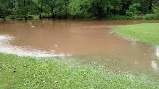 Rapidly Rising Loyalsock Creek at Hillsgrove [upl. by Silberman490]