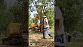 Revolutionary Tree Transplanting Tech Saving Trees by Moving Roots and All [upl. by Aneerehs203]