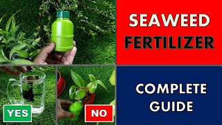 Seaweed extract liquid fertilizer solution for garden plants [upl. by Jarv]