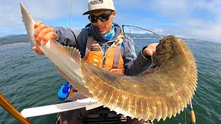 HUGE CALIFORNIA HALIBUT Caught Live Bait Fishing oddly satisfying [upl. by Ahsitaf697]