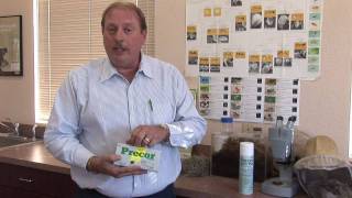 Flea Control  How to Kill Indoor Fleas [upl. by Eboh]