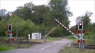 Bahnübergang Bad Bentheim Schevegraben  German Railroad crossing  Duitse Spoorwegovergang [upl. by Jaquiss]