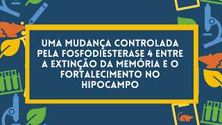 Extinção e reconsolidação da memória hipocampal em ratos [upl. by Dickenson]