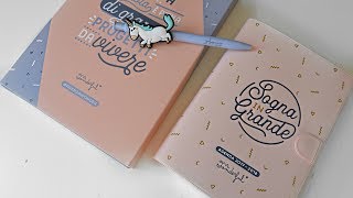 RECENSIONE AGENDA MR WONDERFUL poket giornaliera Unboxing e prime impressioni [upl. by Nonnah]