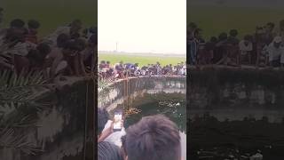 Ye kya huapawan singhka gana par Raju Rangeela Bihari Yadav ka new shortsviralvideos trending😭 [upl. by Surovy]