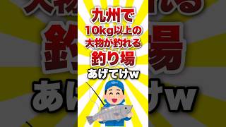 九州で10kg以上の大物が釣れる釣り場あげてけww shorts 釣り [upl. by Aitnis]