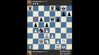 KASPAROV vs KARPOV Valencia Spain 2009 [upl. by Anilad]