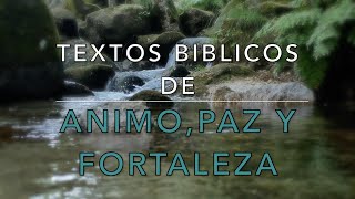 15 TEXTOS BIBLICOS DE ANIMO PAZ Y FORTALEZA [upl. by Onairda]