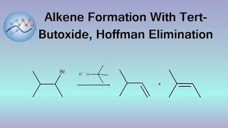 Alkene Formation With TertButoxide Hoffmann Elimination Mechanism  Organic Chemistry [upl. by Nilrak]