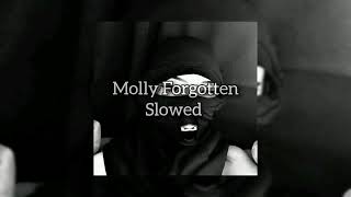 molly  forgotten remix slowed x reverb [upl. by Archambault]