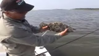 Flounder fishing and Rigging that works best Coastal Georgia [upl. by Nybor]