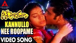 Kannullo Nee Roopame Video Song  Ninne Pelladatha Movie  NagarjunaTabu [upl. by Asin893]