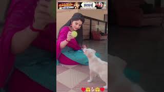 Jote joteyali Serial Heroine Megha Shetty Cute insta Reel❣️ petlover meghashetty [upl. by Dex709]