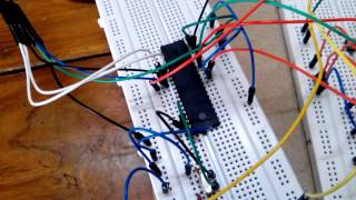 8051 Microcontroller Programming on Breadboard [upl. by Danyette877]