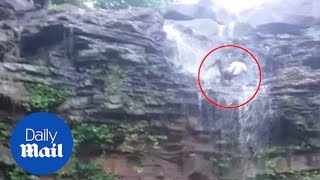 Terrifying selfie accident results in slipping down waterfall [upl. by Anoif953]