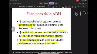 5 Concentración y Dilución de Orina  Osmolaridad ADH y Regulaciones [upl. by Niall]