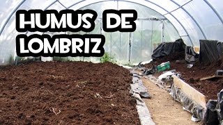 Como hacer Humus de Lombriz  Huerto Orgánico  La Huerta de Ivan [upl. by Leigh85]