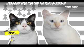 Le Bro Gozh pour TOUS  Lila amp Igloo by MarieJo [upl. by Ttegirb]