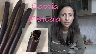 Süß lecker und einfach entgiften und entschlacken  Cassia Fistula [upl. by Cori536]