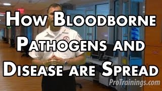 How Bloodborne Pathogens and Disease are Spread [upl. by Puritan]