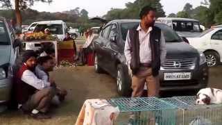 Amazing Dog Show in Ludhiana [upl. by Alma]