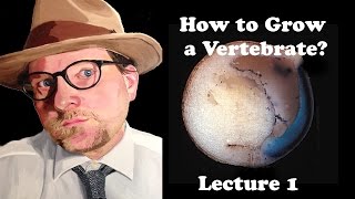 Lecture 1 How to Grow a Vertebrate [upl. by Galanti119]