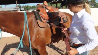 How to Correctly Cinch Your Horse [upl. by Dobrinsky]