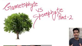 Gametophyte VS Sporophyte Part  2 l NEET l CBSE l Plant Kingdom [upl. by Netsirc]