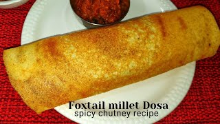 Foxtail millet Dosa recipe without rice  Spicy chutney  Thinai dosai recipe Millet dosa batter [upl. by Ahsaz]