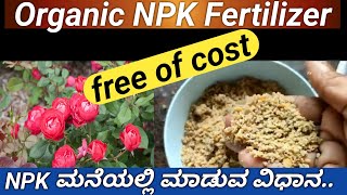 ರೂಪಾಯಿ ಖರ್ಚಿಲ್ಲದ ಆರ್ಗಾನಿಕ್ NPK ಮಾಡುವ ಸುಲಭ ವಿಧಾನhow to make organic NPK at homeNPK Fertilizer [upl. by Eirb848]