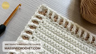 BEAUTIFUL amp EASY Crochet Border for Beginners 🥰 STUNNING Crochet Edging for Blankets and Shawls [upl. by Aseeral966]