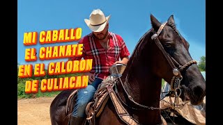 Mi caballo El Chanate en el caloron de Culiacán [upl. by Rednijar]