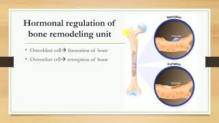 Hormones regulating plasma calcium level Parathormone Calcitonin and Vitamin D [upl. by Refinnaej]