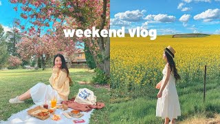 nessie diaries  weekend road trip spring picnic canola fields 👭☀️ [upl. by Ameen]