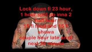 Vybz Kartel  Back to life Lyrics on screen [upl. by Nosmas]