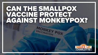 Will smallpox vaccine protect you from monkeypox [upl. by Belsky916]