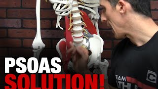 The Ultimate Hip Stretch and Mobility Drill PSOAS SOLUTION [upl. by Blaze653]