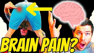 13 Signs Your Brain Is Trained To Experience Piriformis Pain [upl. by Acimak]