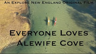 Everyone Loves Alewife Cove [upl. by Yonit]