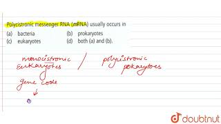 Polycistronic mesenger RNA mRNA usually occurs in [upl. by Repohtsirhc]