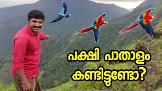 Vagamon Best Adventure Tourist Place Pakshipathalam [upl. by Athiste]